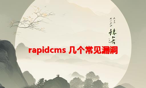 RapidCMS 几个常见漏洞